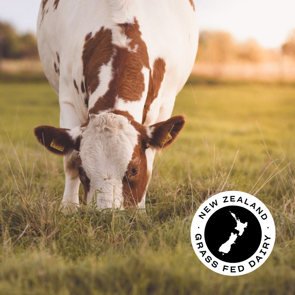 WHEY PROTEIN ISOLATE - Grass-fed